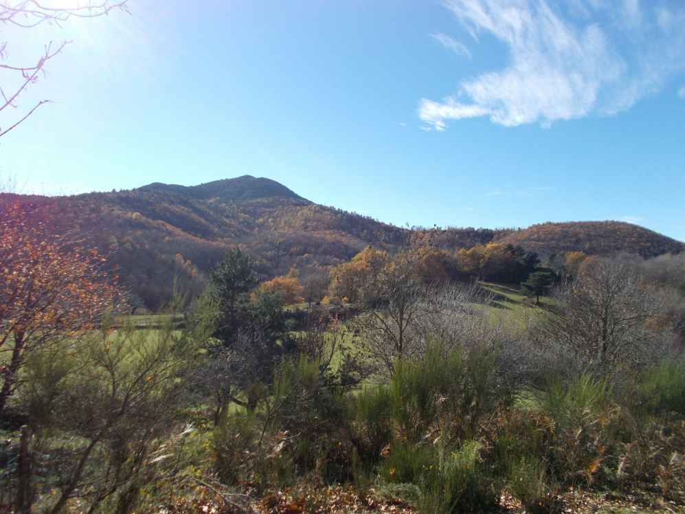 mont capell