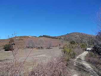 puig del torn