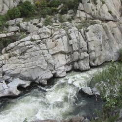 La Têt dans les gorges