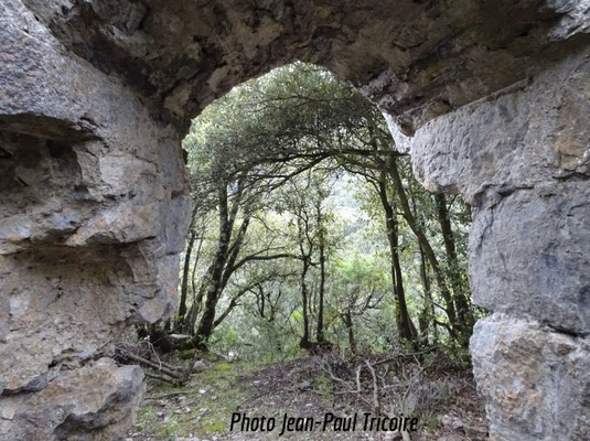 Porte