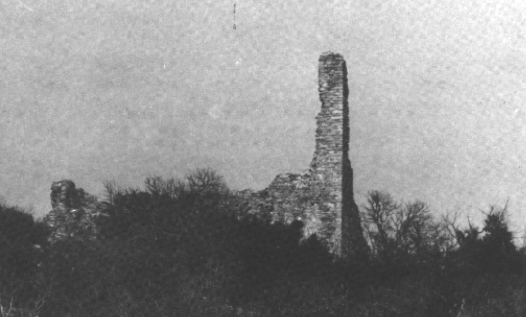ruine de l'eglise sant feliu